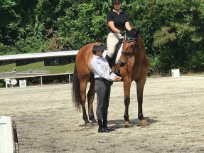 Dressage Coaching